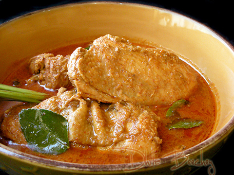 Indonesian Cookbook on Indonesian Chicken Curry  Kalio Ayam